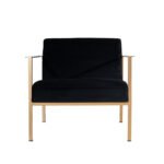 Velvet Accent Lounge Chair with Gold Frame & Metal Base