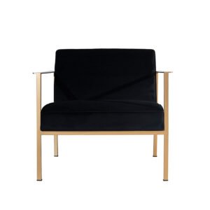 Atticus Velvet Lounge Chair with Gold Accent & Modern Base